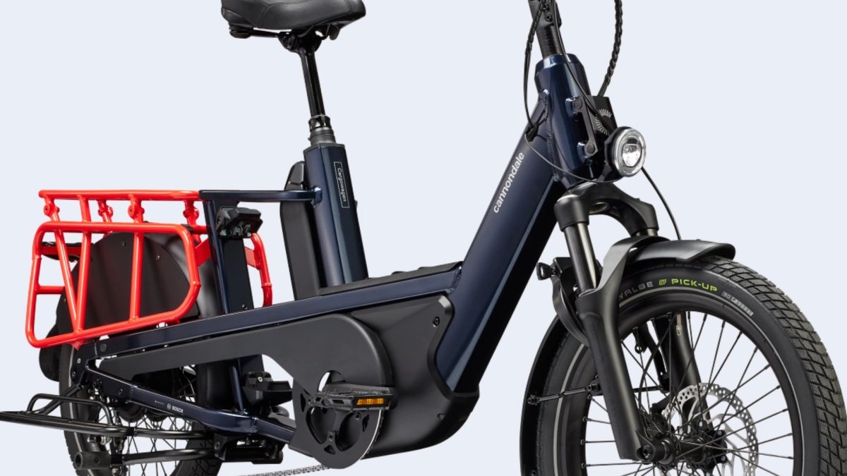 Cannondale Cargowagen Neo 1 - Image 3
